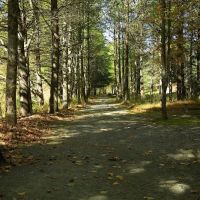 New River State Park - 221 Access (canoe/kayak) ico