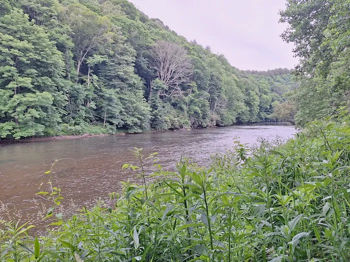 New River State Park - 221 Access (canoe/kayak) Picture 2