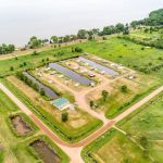 Wealthwood RV Resort