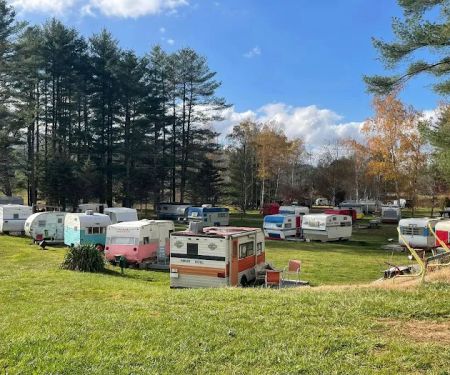 Wild Woodyu2019s Campground