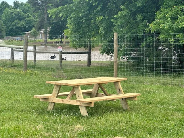 Liberty Acres Campground & RV Park Picture 9