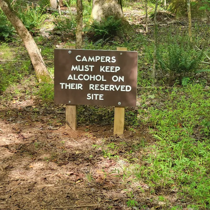Fanny's Ford Campground Picture 7