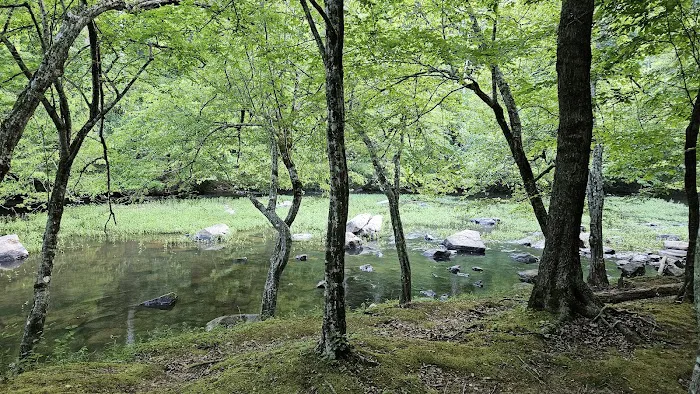 Fanny's Ford Campground Picture 1