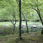 Fanny's Ford Campground