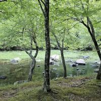 Fanny's Ford Campground ico