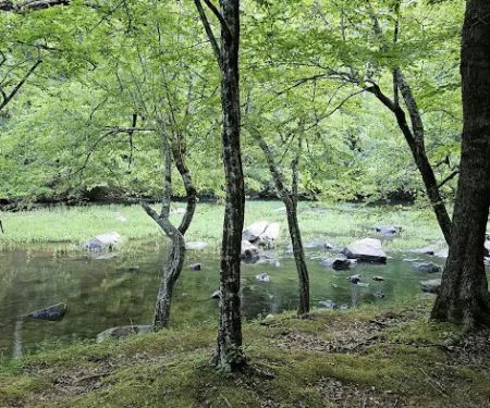 Fanny's Ford Campground