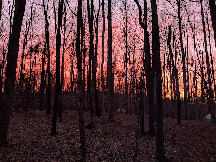 Fanny's Ford Campground Picture 5