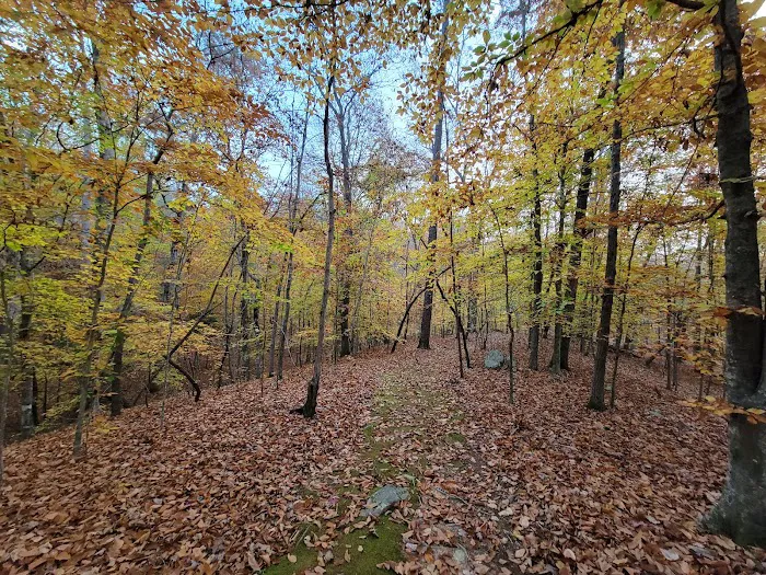 Piper Creek Campground Picture 7