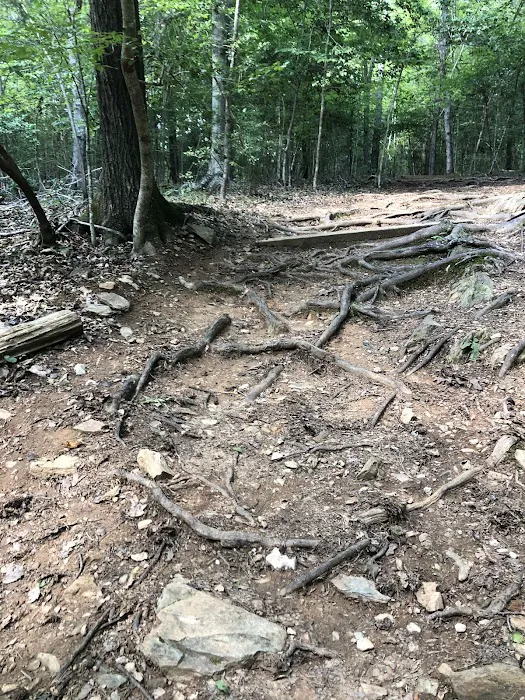 Piper Creek Campground Picture 10