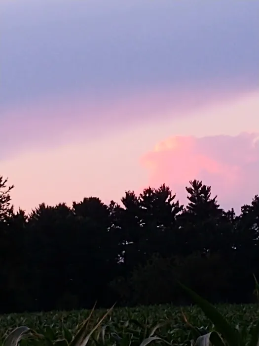 Stone Haven RV Park Picture 2