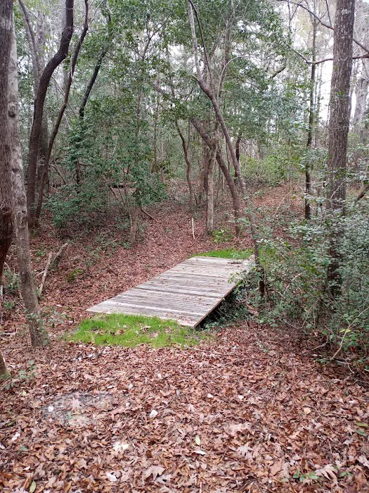 Willows Landing Campground Picture 4