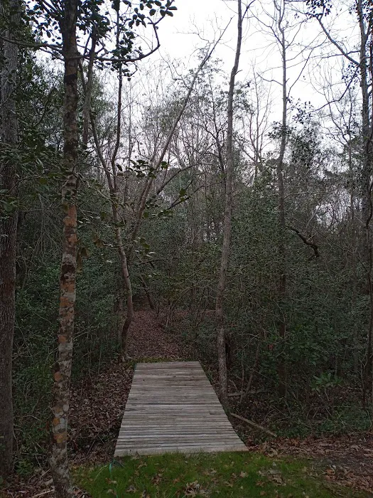 Willows Landing Campground Picture 3