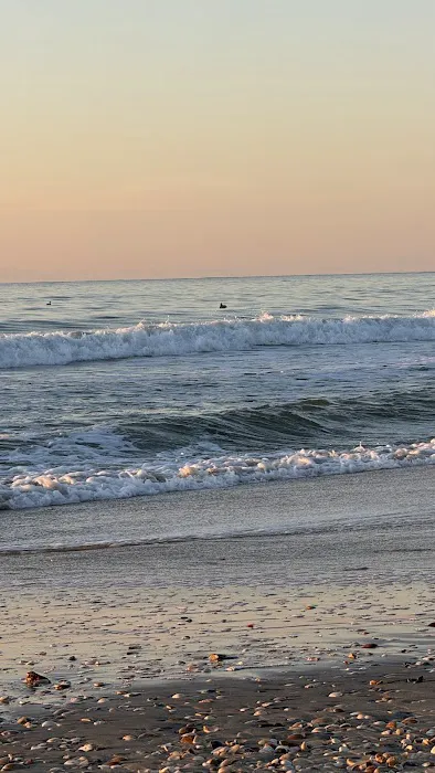 South Core Banks Beach Campground Picture 3