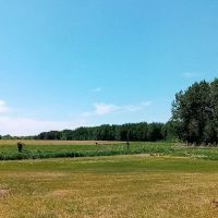 Meadowview Manor ico