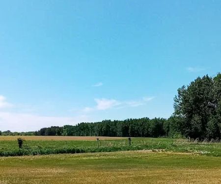 Meadowview Manor