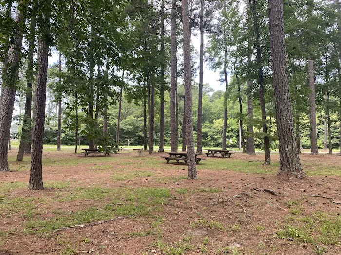 Seymour Johnson AFB Campground Picture 8
