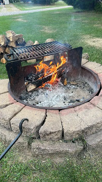 Treeland Farm RV Resort Picture 3