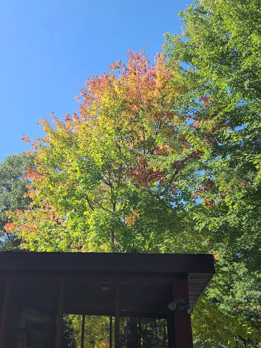 Whitebirch RV & Camping Resort Picture 4