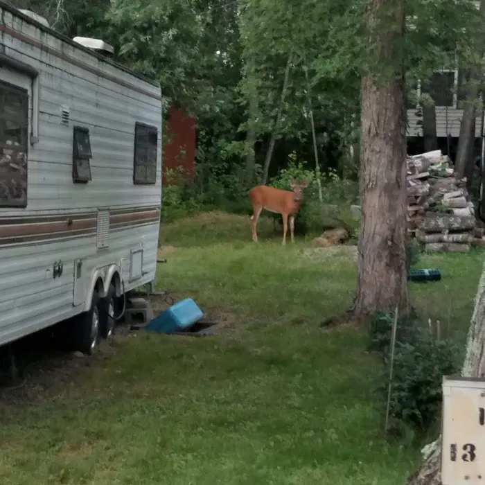 Whitebirch RV & Camping Resort Picture 10