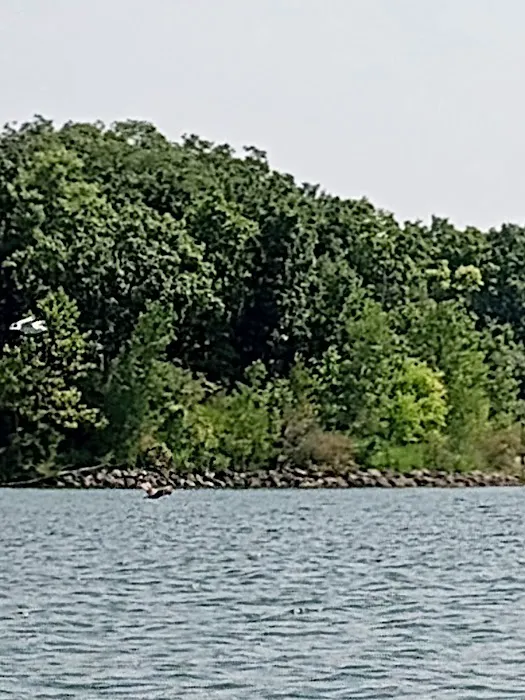 Deer Creek State Park Campground Picture 7