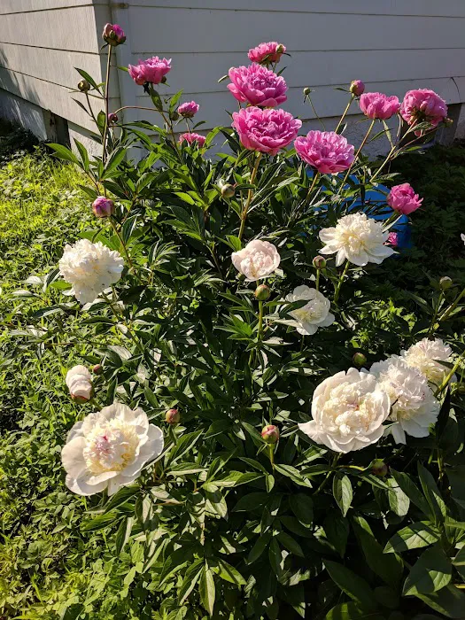 Pleasant View Mobile Home Park Picture 7