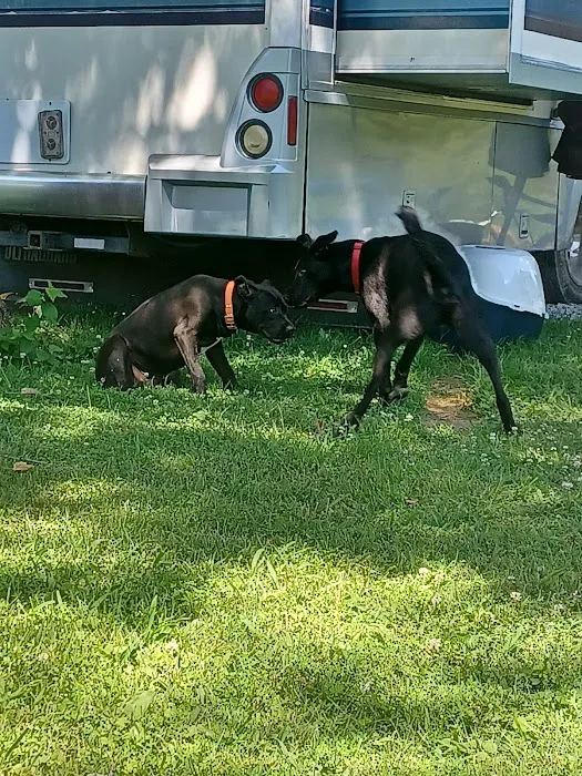 Little Bear Island Campground Picture 6