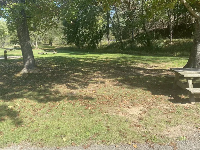 Beech Fork Campgrounds Picture 8