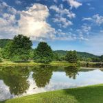Beech Fork Campgrounds
