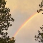 Lake George RV Park