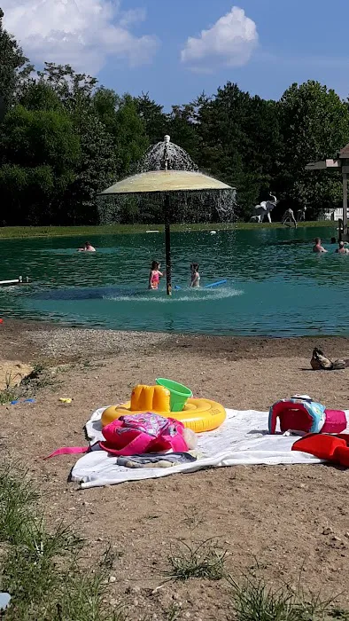 Shady Pines Campgrounds Picture 10