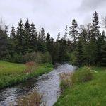 Piney Park