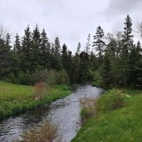 Piney Park ico