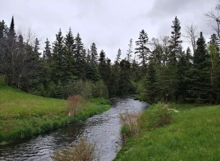 Piney Park