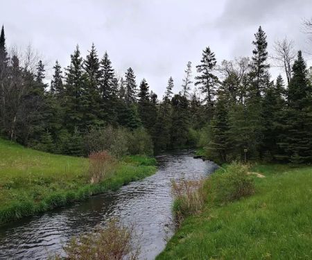 Piney Park