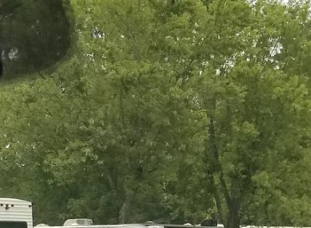 Lazy Village Campground & RV Park