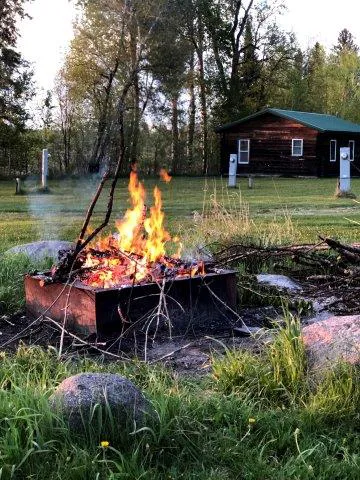 Red Beard's Resort Picture 2