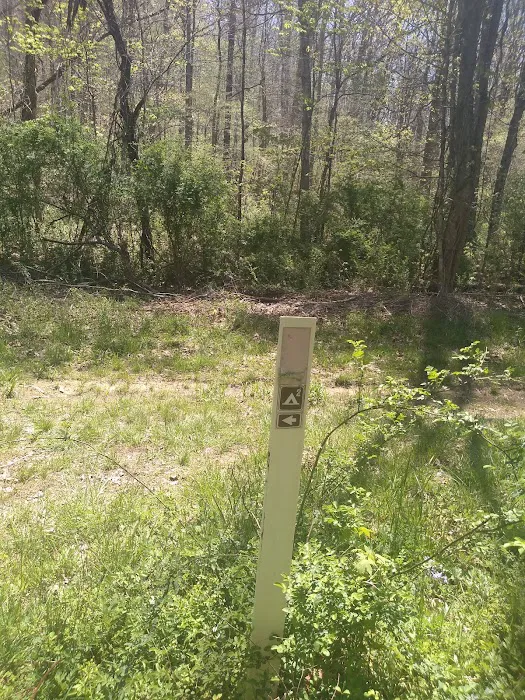 Shawnee Backpacking Camp 2 Picture 4