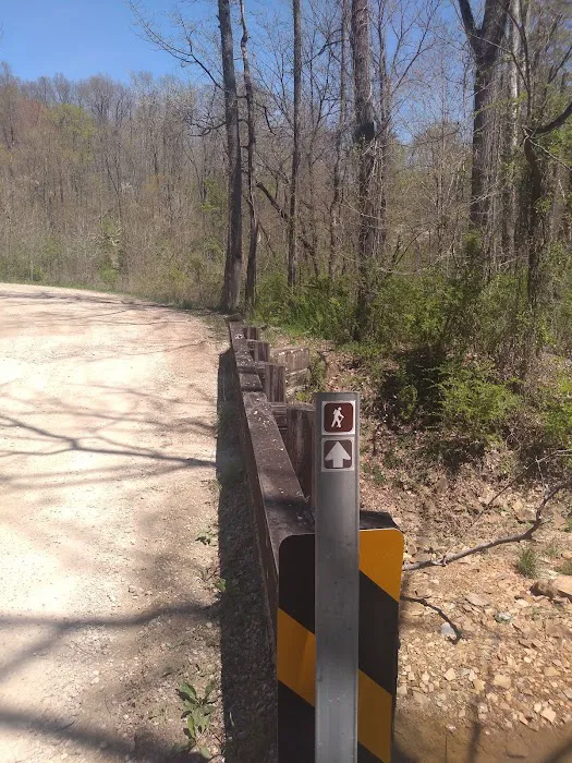 Shawnee Backpacking Camp 2 Picture 2