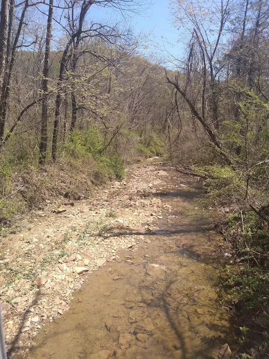 Shawnee Backpacking Camp 2 Picture 1