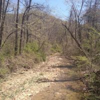 Shawnee Backpacking Camp 2 ico