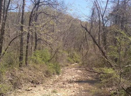 Shawnee Backpacking Camp 2