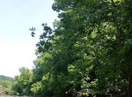Shawnee Valley Campground