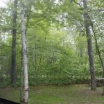 Big Winnie Store RV Park & Campground