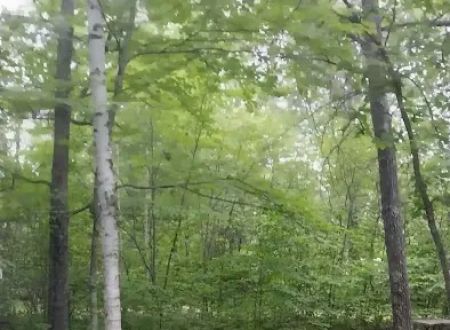 Big Winnie Store RV Park & Campground