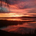 Ly-Nee RV Sites, LLC