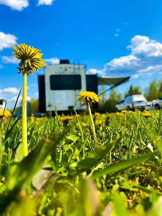 Blueberry Hills RV Park Picture 3