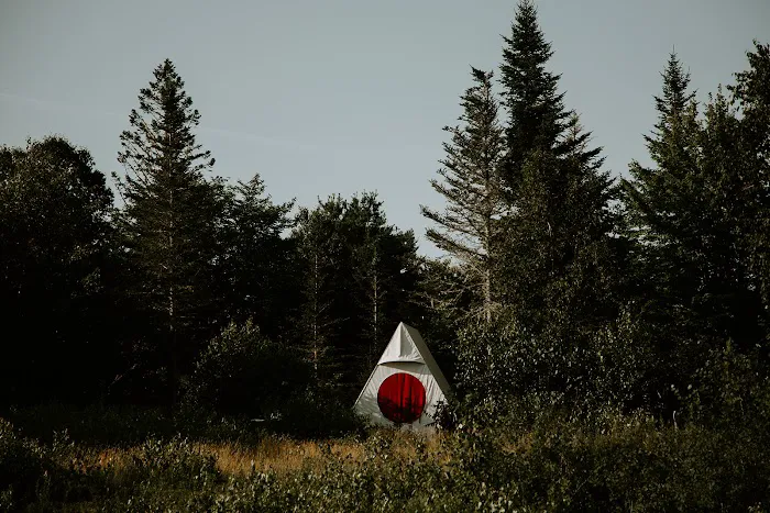 Smithereen Farm Blueberry Land (U-Pick and Camping) Picture 2