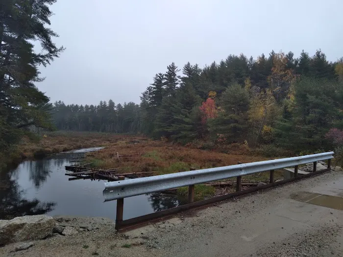 Downeast Wilderness Experience Picture 9