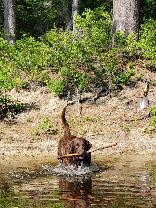 Downeast Wilderness Experience Picture 5