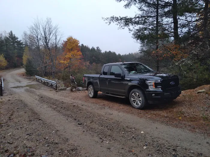 Downeast Wilderness Experience Picture 3